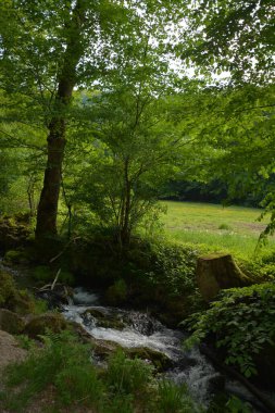 Almanya 'nın doğasında fotoğraflar. Urach Şelaleleri Bad Urach kasabasında yer almaktadır..
