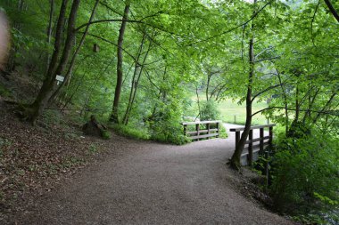 Almanya 'nın doğasında fotoğraflar. Urach Şelaleleri Bad Urach kasabasında yer almaktadır..