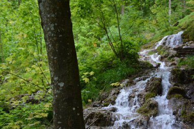 Almanya 'nın doğasında fotoğraflar. Urach Şelaleleri Bad Urach kasabasında yer almaktadır..