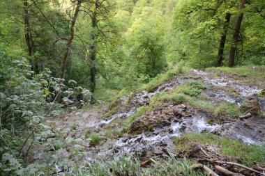 Almanya 'nın doğasında fotoğraflar. Urach Şelaleleri Bad Urach kasabasında yer almaktadır..