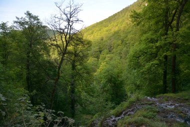 Almanya 'nın doğasında fotoğraflar. Urach Şelaleleri Bad Urach kasabasında yer almaktadır..