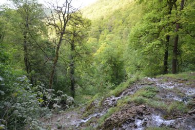 Almanya 'nın doğasında fotoğraflar. Urach Şelaleleri Bad Urach kasabasında yer almaktadır..