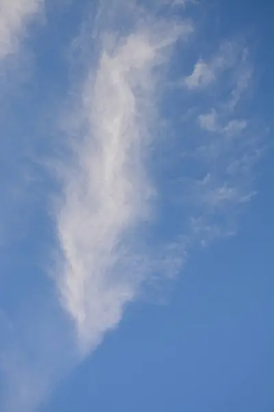 açık mavi arkaplanda beyaz kabarık bulut