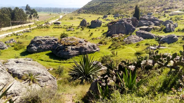 Bojac - Cundinamarca - Kolombiya 'da Kara Keçi Parkı