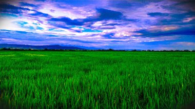 Neiva Huila Kolombiya 'da gün batımında güzel sakin bir vadi