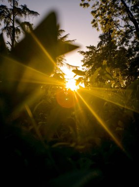 Madrid 'de inanılmaz bir gün batımı - İspanya - Avrupa