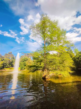 Madrid 'deki El Retiro parkında güzel bir göl - İspanya - Avrupa