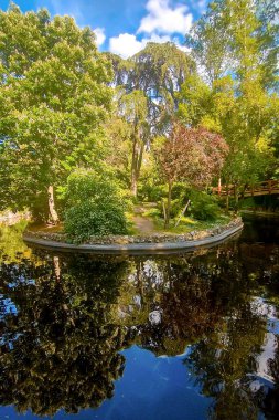 Beautiful reflections of trees in a lake in the Parque de la Quinta de la Fuente del Berro in Madrid - Spain - Europe clipart