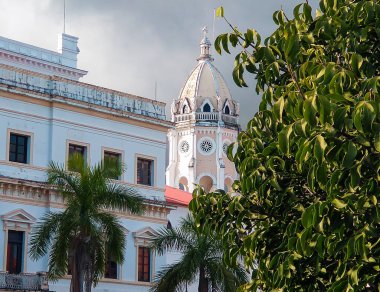 Bosa 'da bir ağacın dallarında güneş ışınları Bogota - Kolombiya