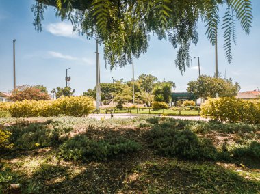Bogota 'nın güneyindeki Bosa' nın ana parkında güzel bir bitki örtüsü.