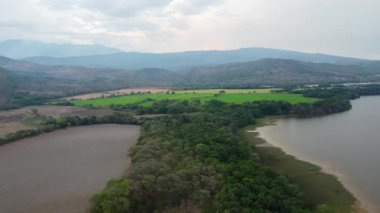 Yaguara 'da Dünya Çevre Günü - Huila - Kolombiya