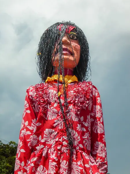 Neiva, Huila, Kolombiya - 30 Haziran 2024 - San Pedro Festivalinde kadın temsilci