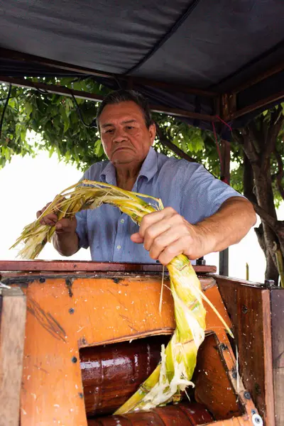 Neiva-Huila-Kolombiya 'da şeker kamışlarıyla çalışan yaşlı Latin bir adam.