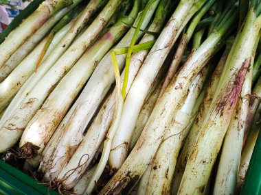 Yaguara-Huila-Kolombiya 'daki bir markette beyaz soğan. Tarım ve hasat kavramı