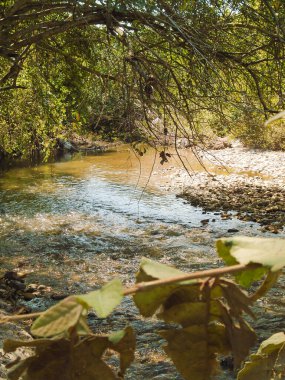 Neiva, Huila, Kolombiya 'nın kırsal kesiminde güzel bir nehir havzası manzarası. Seyahat ve turizm kavramı