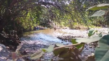 Neiva, Huila, Kolombiya 'nın kırsal kesiminde güzel bir nehir havzası manzarası. Seyahat ve turizm kavramı