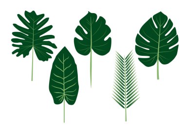 Geriye vektör yaz tropiklerini soyut tasarım bırakır