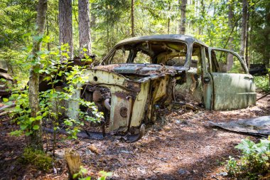 Ormanda terk edilmiş bir araba enkazı