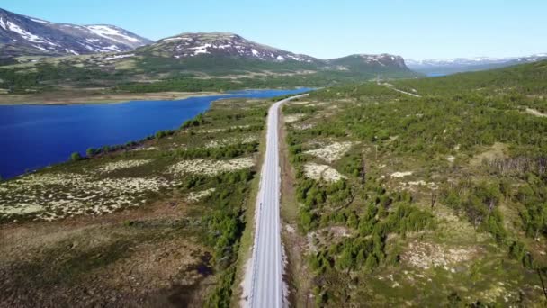 Indah Khas Lanskap Norwegia Dengan Hutan Jelas Sungai Dan Pegunungan — Stok Video