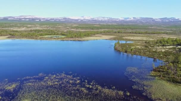 Norveç Teki Dovrefjell Ulusal Parkı Ndaki Göller Lagünlerle Bir Manzara — Stok video