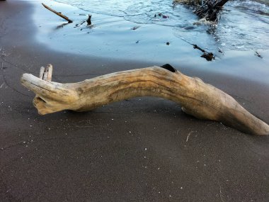 Seçici odaklanma. Ahşap Endonezya plajında kıyıya vurdu. Tahta parçaları.. 