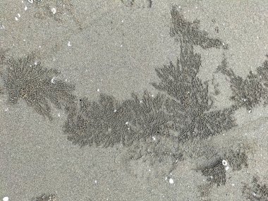 Küçük çakıl taşlarının karışımıyla ayrıntılı kum dokusu. Endonezya plajı. Seçici odak.