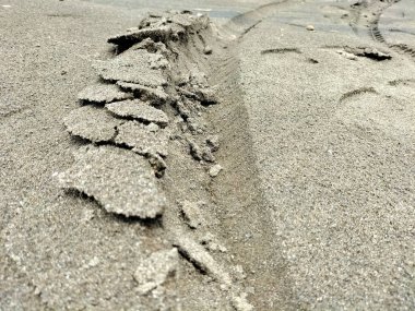 Seçici odaklanma. Toprakta tekerlek izleri.