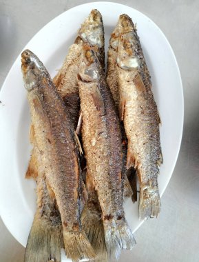 Kızarmış Belanak. Endonezya ev yemeği olarak zerdeçal baharatıyla kızartılmış. Tabakta servis edilmiş. Seçici odak.