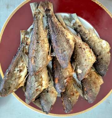 Kızarmış Süt Balığı, Endonezya ev yemeği olarak zerdeçal baharatıyla kızartılmış. Tabakta servis edilmiş. Seçici odak