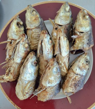 Kızarmış Süt Balığı, Endonezya ev yemeği olarak zerdeçal baharatıyla kızartılmış. Tabakta servis edilmiş. Seçici odak