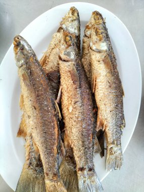 Gri masadaki tabakta küçük kızarmış Karadeniz kefal balıkları. Taze kızarmış küçük kırmızı Akdeniz balığı. Seçici odak.