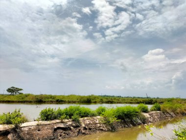 İlkbaharda göl manzarası, gökyüzü ve bitkiler yansıyor. Seçici odak.