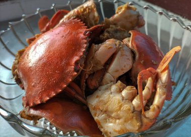 Sıcak sarımsak soslu yengeç. Beyaz arka planda beyaz cam tabakta baharatlı soslu haşlanmış yengeç. Asya yemekleri. Seçici odak.