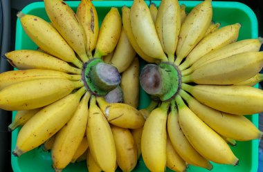 Seçici odaklanma. Pisang Mas (Musa acuminata). Markette satılan sarı muzlar. Pazarda taze meyve satılıyor. Taze tatlı muz.