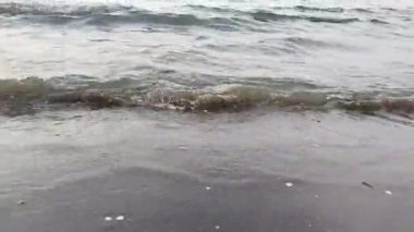 Görüntü. Java Denizi sahilinde sığ su. Siyah kum ve küçük tembel dalgalı şeffaf deniz. Plaj yaz videosu.