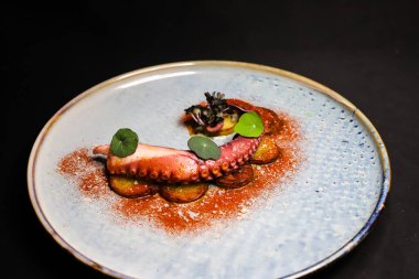 Izgara ahtapotlu güzel yemek tabağı.