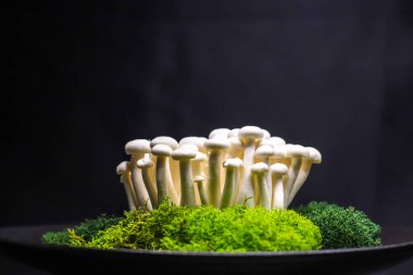 Taze mantar sunumu shimeji beyaz ve kahverengi