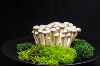 Taze mantar sunumu shimeji beyaz ve kahverengi