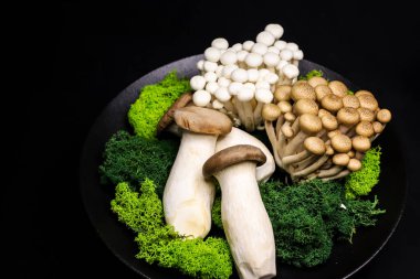 Taze mantar sunumu shimeji beyaz, kahverengi ve kral istiridye mantarları