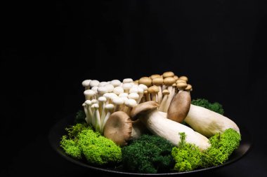 Taze mantar sunumu shimeji beyaz, kahverengi ve kral istiridye mantarları