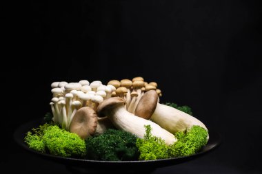 Taze mantar sunumu shimeji beyaz, kahverengi ve kral istiridye mantarları