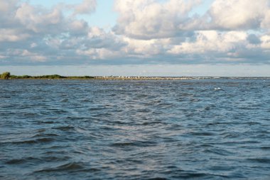 Denizde büyük bir kuş sürüsü