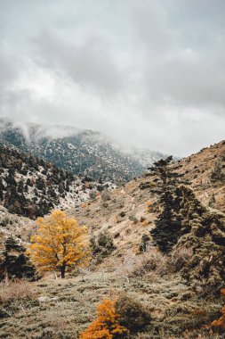 Dağ manzarası Kötü Hava