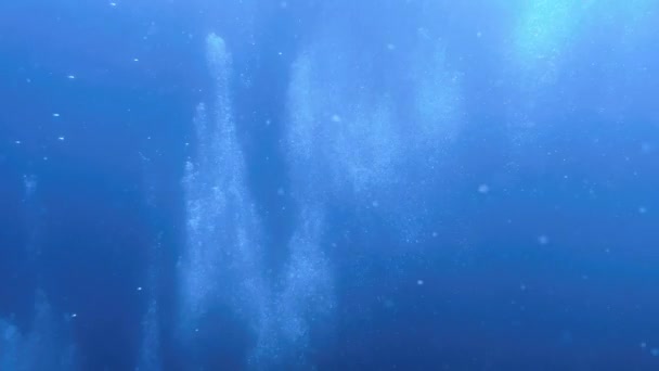 Plongeurs Sous Marins Faisant Des Bulles Haute Qualité Images Haute — Video