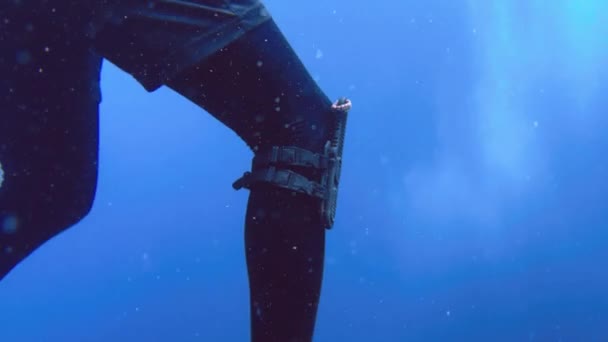 Taucherausrüstung Mit Flossen Neoprenanzug Unter Wasser Hochwertiges Filmmaterial — Stockvideo