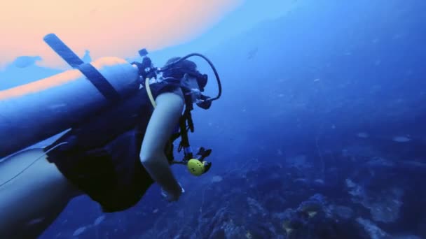 Chica Buceo Alta Calidad Observando Arrecife — Vídeo de stock