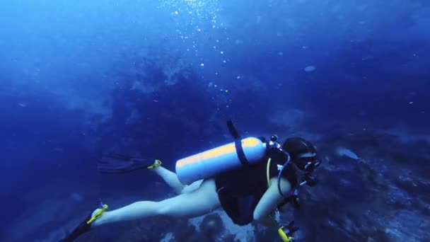 Високоякісна Жінка Дивиться Рибу Під Час Підводного Плавання — стокове відео