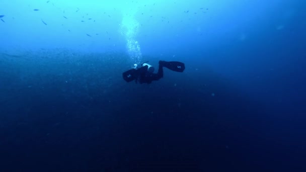 Man Diving Ocean Watching Big Fish Schools — Stock Video