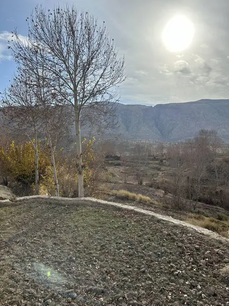 Doğanın güzel manzarası