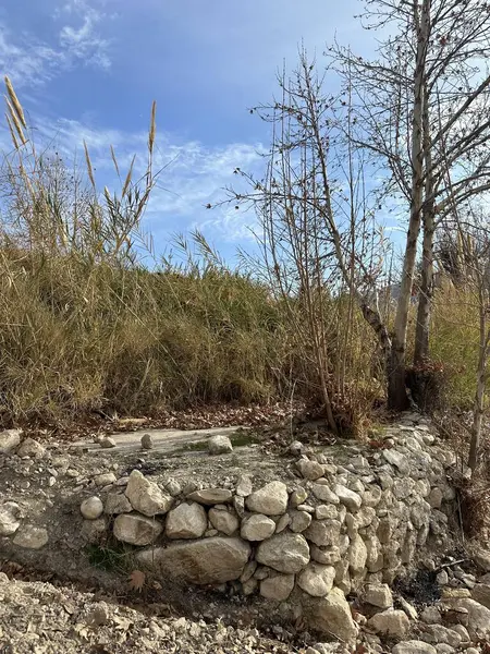 Ağacı ve çiti olan güzel bir manzara.